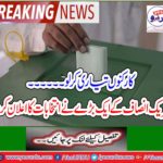 A "big" of Tehreek-e-Azam declared the election