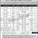 Frontier Corps (FC) Jobs 2019 for 112+ Sipahi, Lance Naik, Naik & Havaldar Posts (KP)