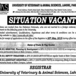UVAS Lahore Jobs 2019 For Assistant Registrar, Deputy Treasurer and Director Posts