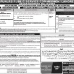 PPSC Jobs (14/2019): 18+ PMS / Bachelor / Masters Posts in Punjab Government