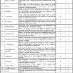 Pakistan Mobile Clinic (PMC) Project Jobs 2019 for 38+ Posts (Multiple Categories) (Sindh)