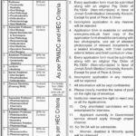Jinnah Sindh Medical University (JSMU) Karachi Jobs 2019 for 38+ Teaching Faculty & Non-Teaching Posts