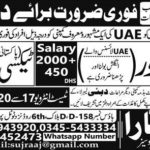 Drivers & Taxi Drivers Required in Middle East/Saudi Arab