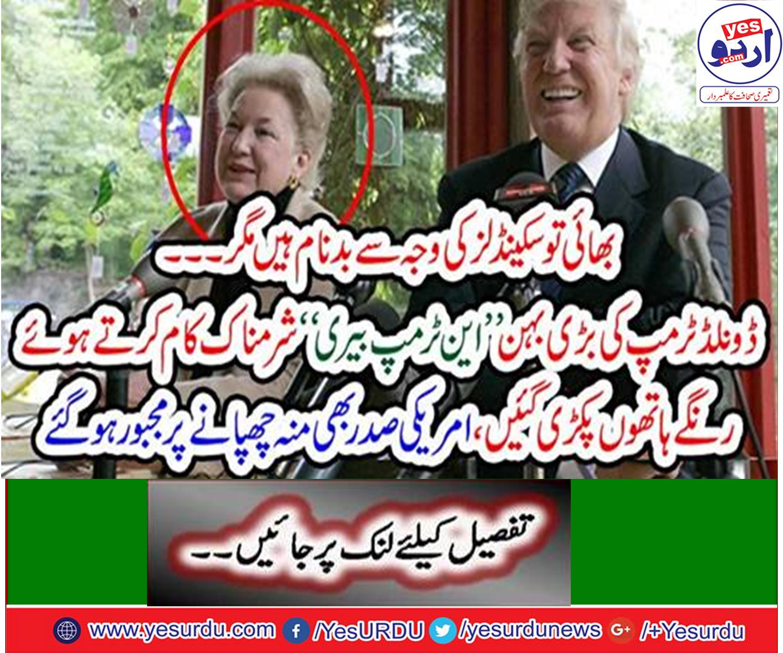 امریکی صدر ڈونلڈ ٹرمپ کی بڑی بہن نے ٹیکس چوری کے الزام کے بعد ریٹائرمنٹ لے لی