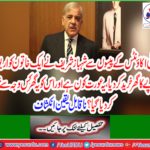 Taimina Durani's house located in Taxila were purchased from fake accounts money