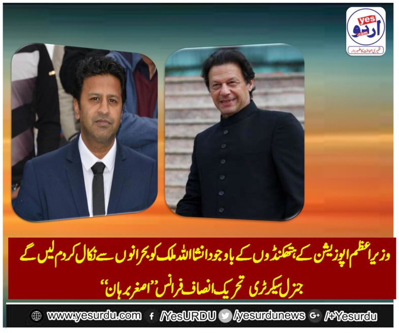 asghar burhan, gen, secretary, PTI, France, said, IK, will, pull, country, out, of, critical, situation