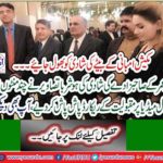 Important political and social figures including Prime Minister attended the wedding of former Finance Minister Asad Umar son
