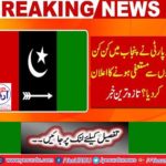 PPP has announced resignation from Punjab standing committees