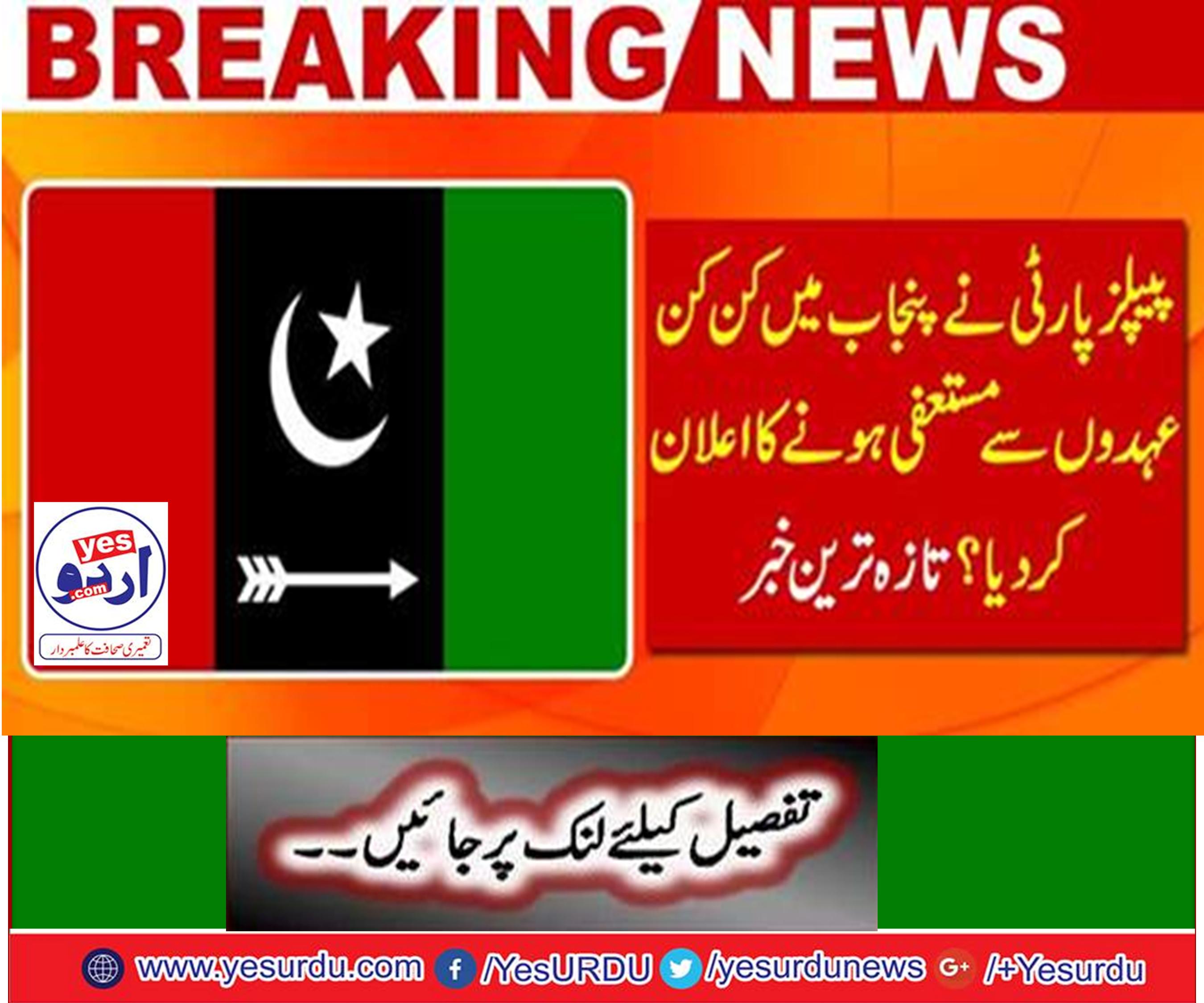 PPP has announced resignation from Punjab standing committees