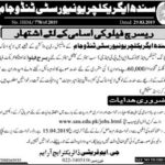 Sindh Agriculture University Jobs 2019 for Research Fellow Posts