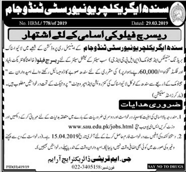 Sindh Agriculture University Jobs 2019 for Research Fellow Posts