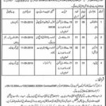 Wildlife & Parks Department Punjab Jobs 2019 for 5+ Wildlife Watchers and Support Staff