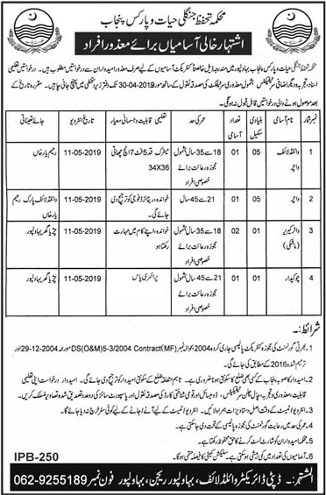 Wildlife & Parks Department Punjab Jobs 2019 for 5+ Wildlife Watchers and Support Staff