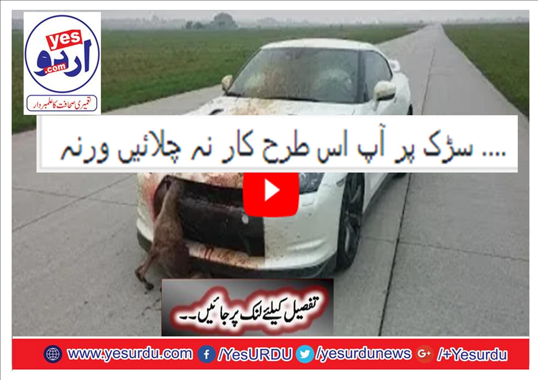 How To Not Drive Your Car On Road