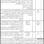 Sindh Economic Zones Management Company (SEZMC) Jobs 2019 for IT Assistant, Coordinator, AM Procurement/Legal and Manager