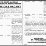 PMAS ARID Agriculture University Rawalpindi Jobs 2019 for 10+ Jr Clerk, Accountant, PA, Vet Assistant, Recorder and Research Posts