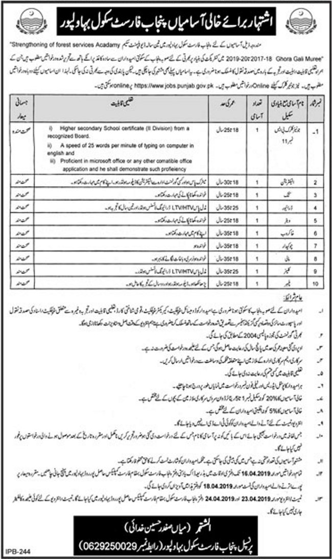 Punjab Forest School (Bahawalpur) Jobs 2019 for Jr Clerk, Driver and Support Staff