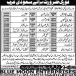 SAPAC Saudi Arab Jobs 2019 for DAE, Engineering and Technical Staff