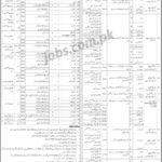 Directorate of Central Health Establishment Jobs 2019 for 118+ Posts (Multiple Categories) (Download OTS Form)
