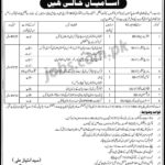 Ministry of Science & Technology Jobs 2019 for 10+ Researcher, Research Officers, Draftsman, Engineers and Admin / Assistant PS
