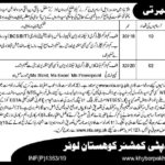 Deputy Commissioner Kohistan Lower Jobs 2019 for 12+ Computer Operators and Assistants (Download NTS Form)