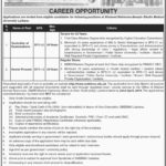 SMBBMU University Jobs 2019 for Controller of Examinations and Hostel Provost