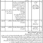 Daanish Schools (Boys/Girls) Bahawalpur Jobs 2019 for Teacher & Support Staff (Disable Quota)