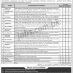 Pakistan Mobile Clinic (PMC) Jobs 2019 for 74+ Posts (Multiple Categories)