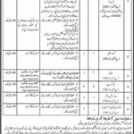 Daanish Schools (Boys/Girls) Jobs 2019 for Teaching & Support Staff (Bahawalnagar)