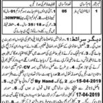 THQ Sargodha Jobs 2019 for 5+ Data Entry Operators