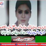 Conspiracies related to the PIA Aesthetics missing in Paris ..