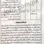 Deputy Commissioner Kohistan Lower Jobs 2019 for 12+ Computer Operators and Assistants (Download NTS Form)