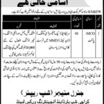 Karachi Shipyard & Engineering Works (KSEW) Jobs 2019 for MCO / Pilot Posts