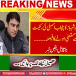 Hamza Shahbaz decides to resign from Punjab Assembly membership