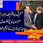 PML-N's pride Hanif Abbasi honorable judiciary also finds the robbery of the Medicine Industry in the change government, Former President PML N France Javed Butt