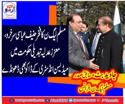 PML-N's pride Hanif Abbasi honorable judiciary also finds the robbery of the Medicine Industry in the change government, Former President PML N France Javed Butt