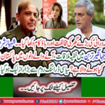 Opposition and stress of the big house of Tehmina Durrani
