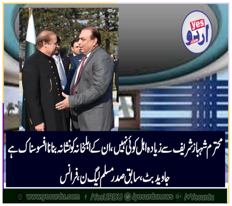 Javed Butt, ex-president, PMLN, France, condemned, raid, on, shehbaz sharief, family, by, NAB 