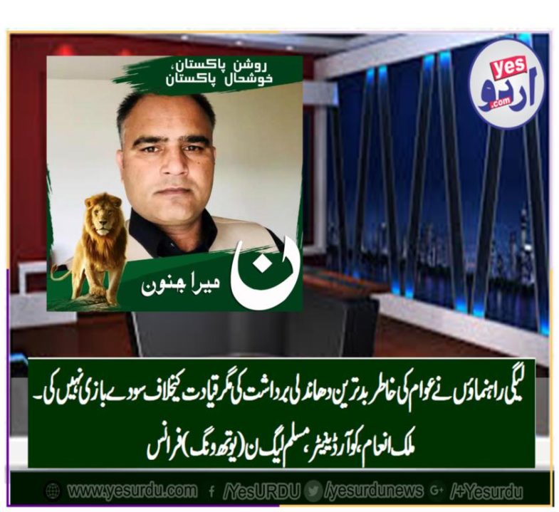 Malik Inam, Coordinator, PMLN, youth wing, France