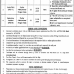 Environmental Protection Agency KP Jobs 2019 for Jr Clerk, Stenographer, Office Assistant and Lab Assistant
