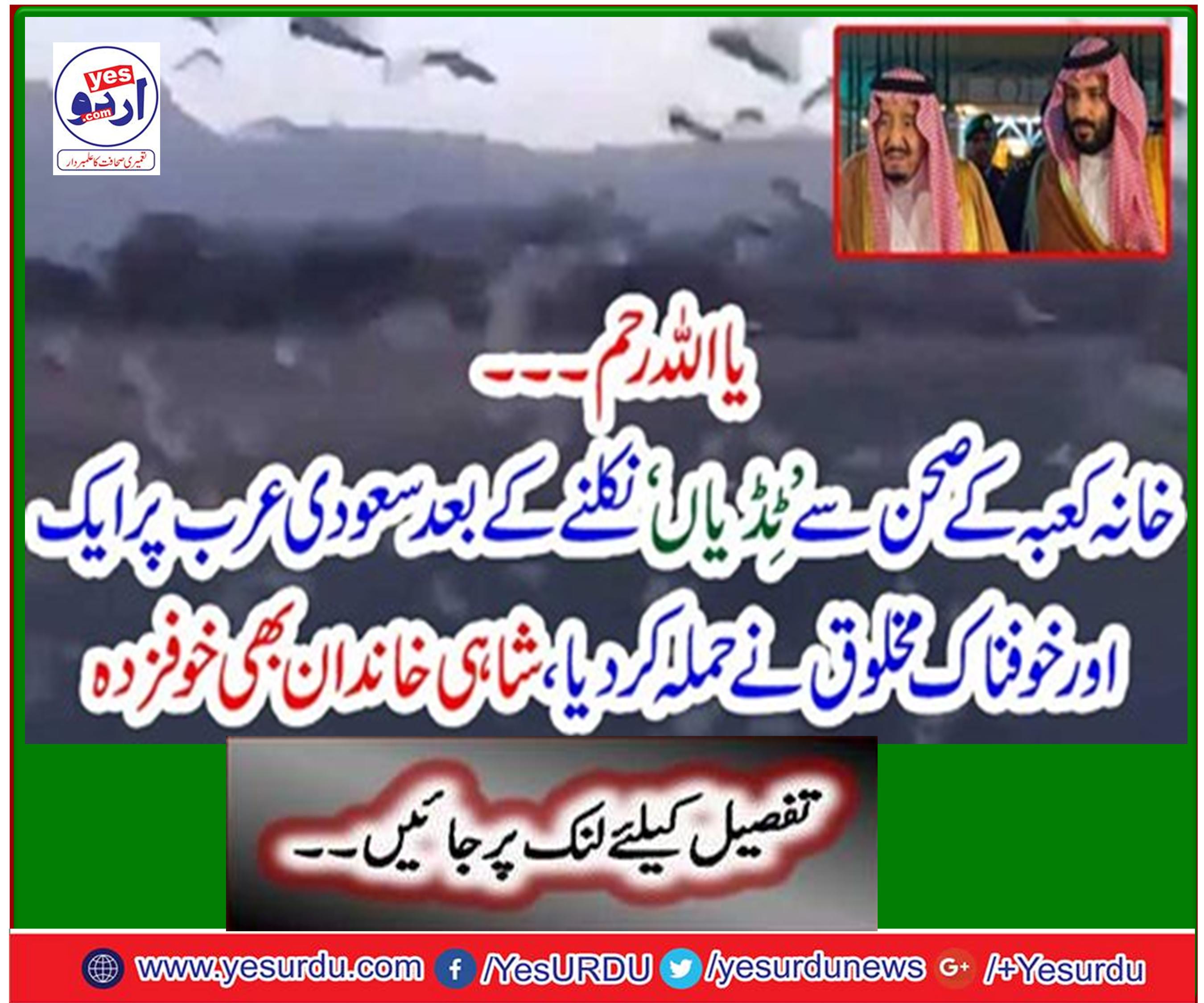 سعودی عرب پر گزشتہ دنوں بڑی تعداد میں کیڑوں نے حملہ کردیا
