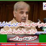 I did not see the prime minister more than Imran Khan in Pakistan's history, Shahbaz Sharif