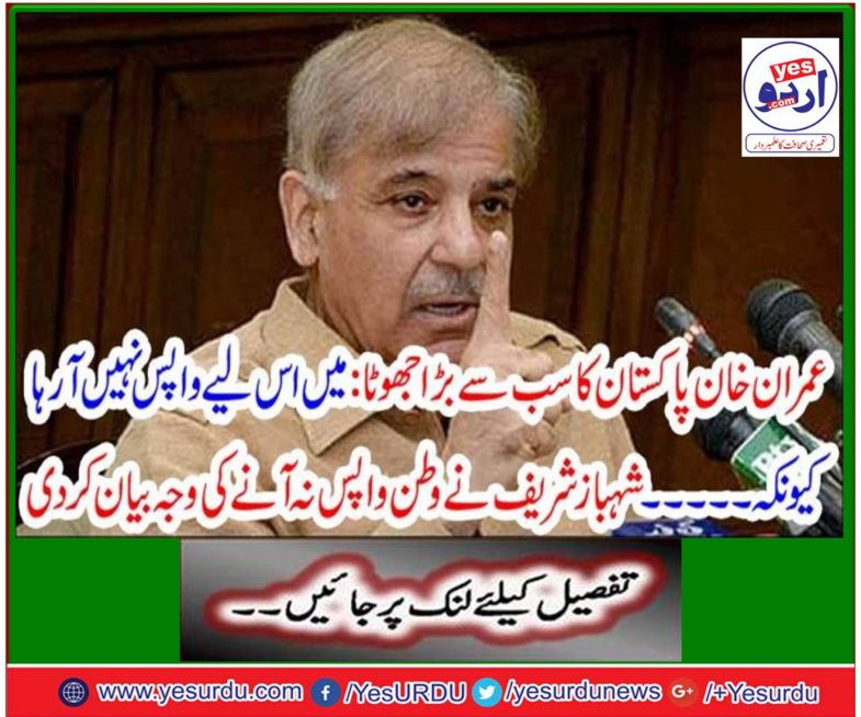 I did not see the prime minister more than Imran Khan in Pakistan's history, Shahbaz Sharif