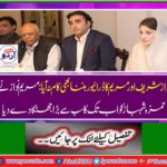 Hamza Shahbaz's 20-year political struggle was lost, Minister of State for Revenue Hammad Azhar