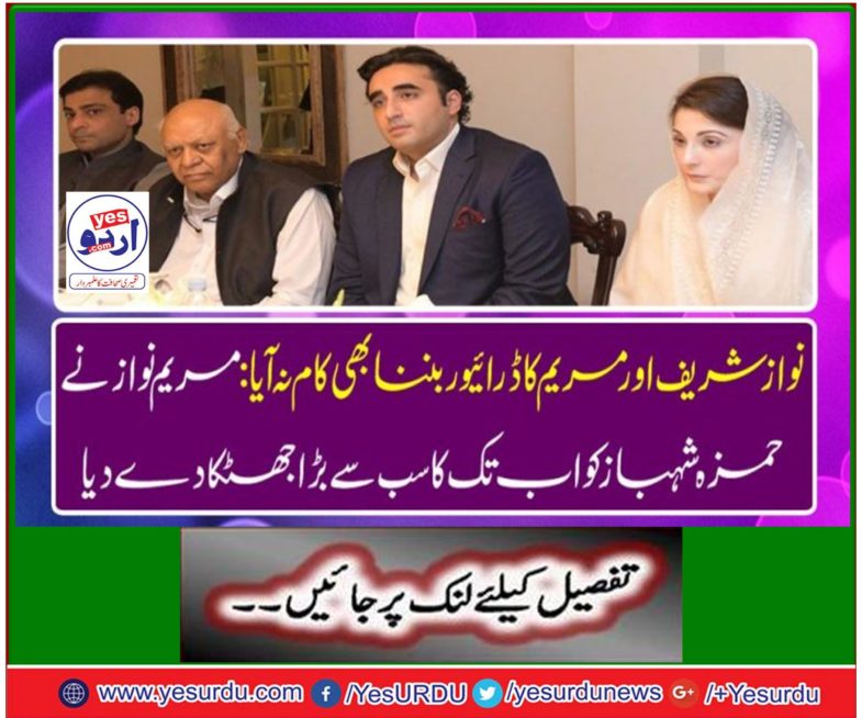 Hamza Shahbaz's 20-year political struggle was lost, Minister of State for Revenue Hammad Azhar
