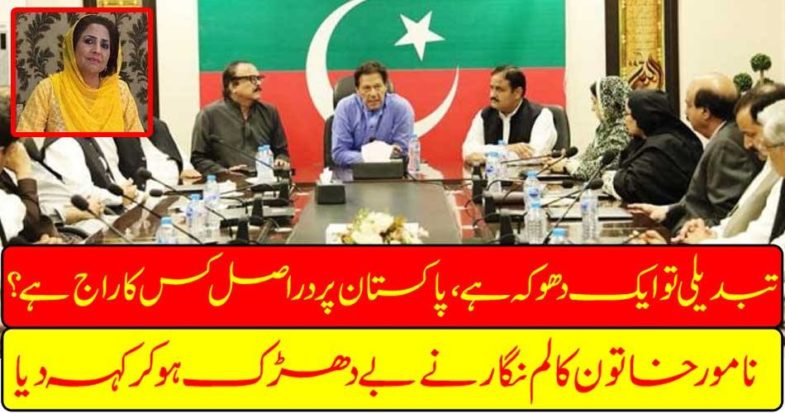 The illiterate lady columnist said to her inexperienced