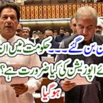 What is the opposition of those people in the government? Big revealed