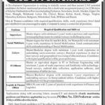 PO Box 220 Public Sector Organization Jobs 2019 for 100+ IT Officers, Enumerators, Logistic/Finance Officers, Listers, Supervisors, Social Mobilizers (Multiple Cities)