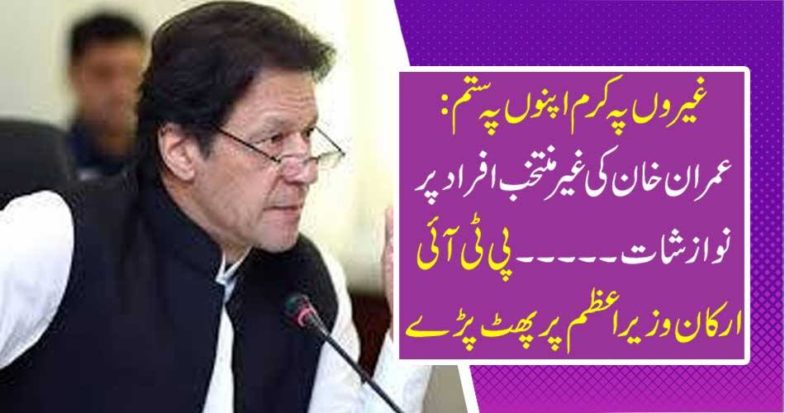 PTI members have fallen on Prime Minister