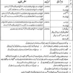 Govt Syed Mittha Teaching Hospital Lahore Jobs 2019 for Medical Officers and Specialists